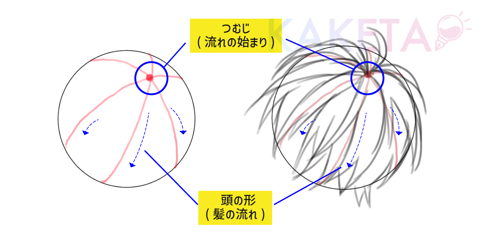 髪の毛の描き方・塗り方のコツ「つむじの位置と髪の流れ」